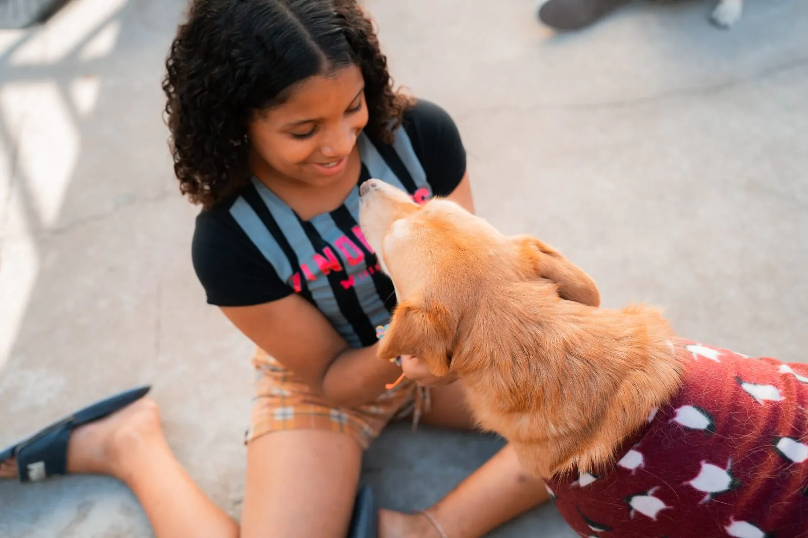 Galeria 29 - Instituto Resistência e Persistência (REP)